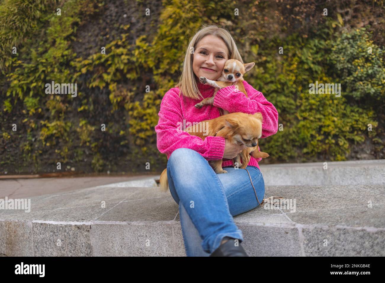Donna matura sorridente seduta con cani Chihuahua sul muro Foto Stock