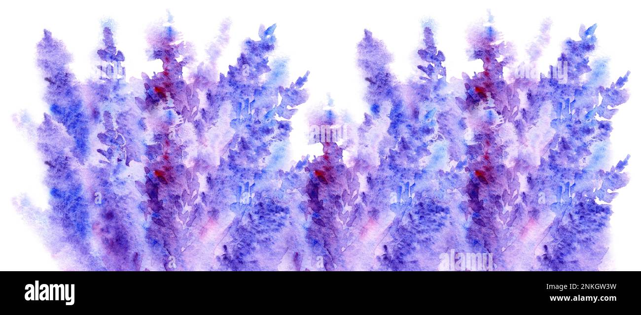 Acquerello lavanda fiore fiore trama astratta sfondo. Foto Stock