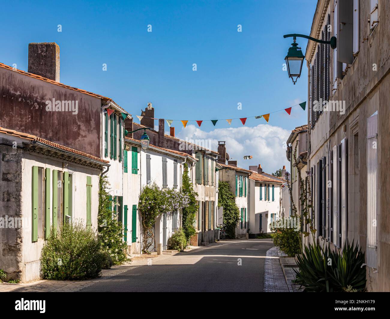 Francia, Nouvelle-Aquitaine, Ars-en-Re, corsia rustica in estate Foto Stock