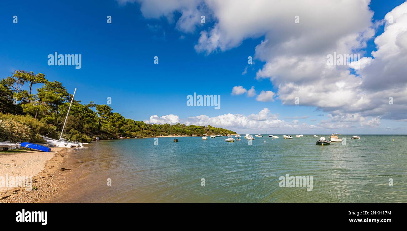Francia, Nouvelle-Aquitaine, Les Portes-en-Re, nuvole estive sulle barche galleggianti vicino alla riva dell'isola Ile de Re Foto Stock