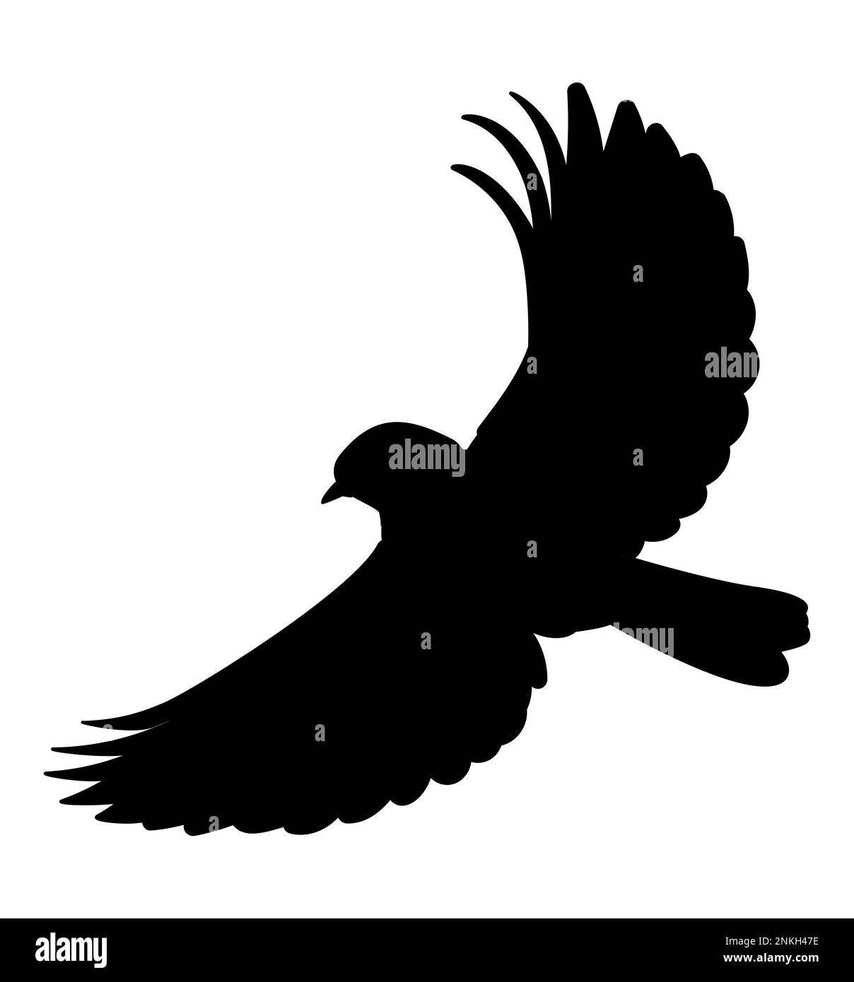 Uccello volante come la colomba passero silhouette piccione, atterraggio con ali aperte Illustrazione Vettoriale