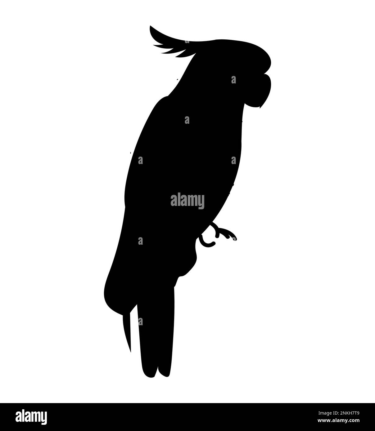 Silhouette nera per pappagallo isolato su sfondo bianco Ara Macaw Illustrazione Vettoriale