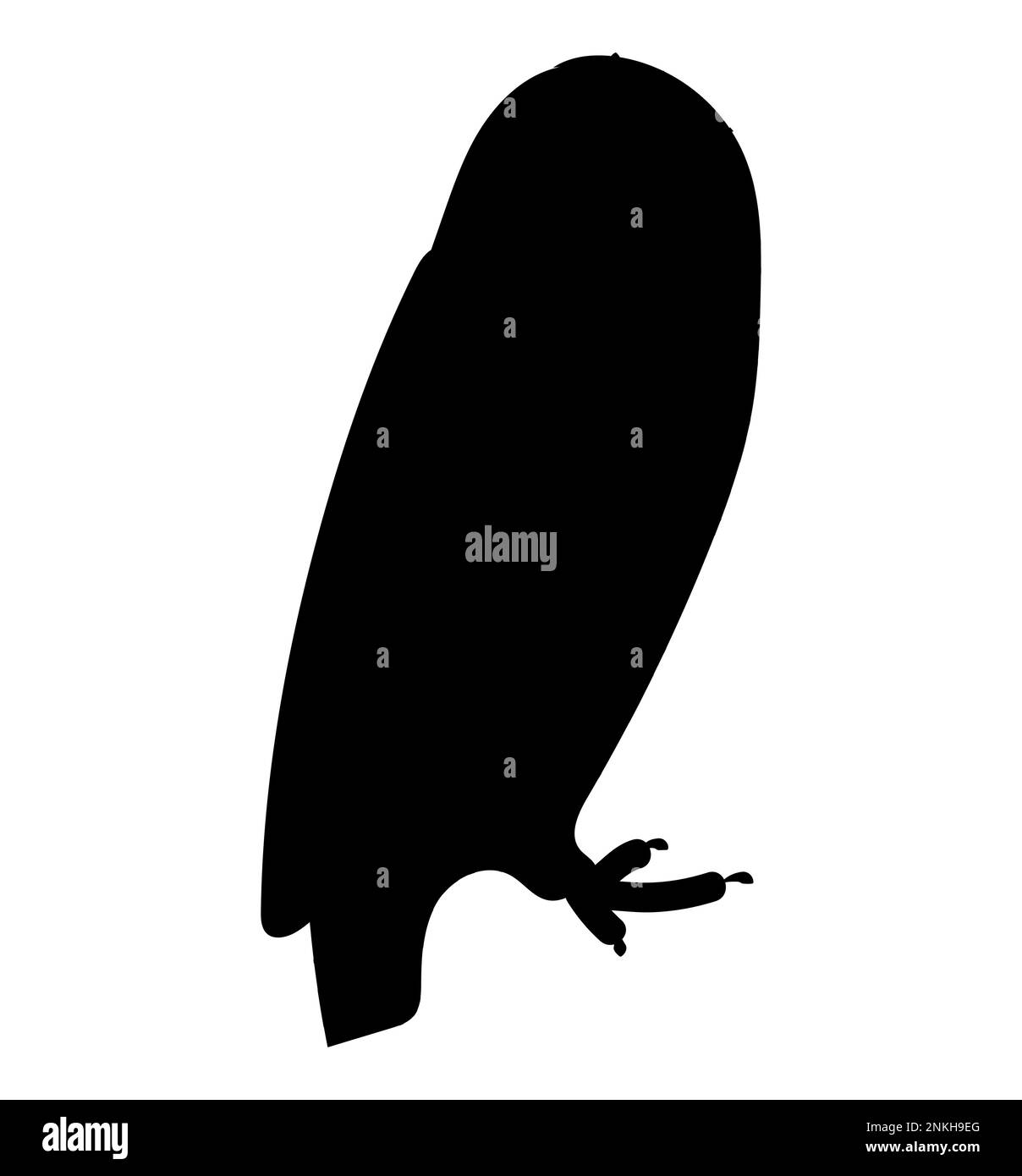 Silhouette nera Set di carino civetta (tyto alba) cartoon selvaggio foresta uccello animale disegno Illustrazione Vettoriale