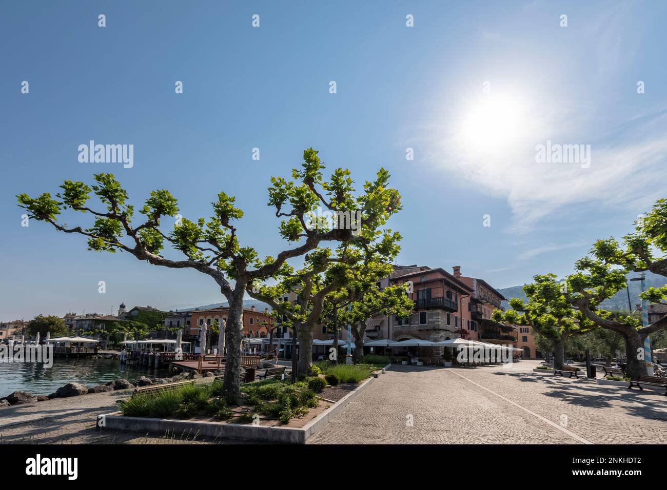 Italia, Veneto, Torri del Benaco, il sole estivo che splende sugli alberi in Viale Guglielmo Marconi Foto Stock