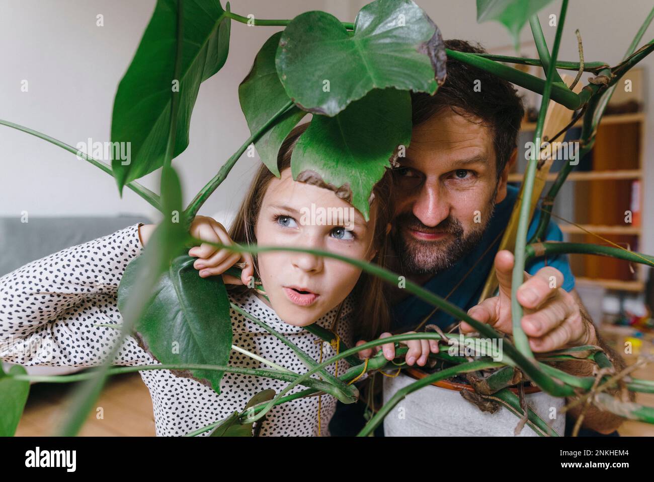 Padre e figlia sbirciano dietro le piante a casa Foto Stock