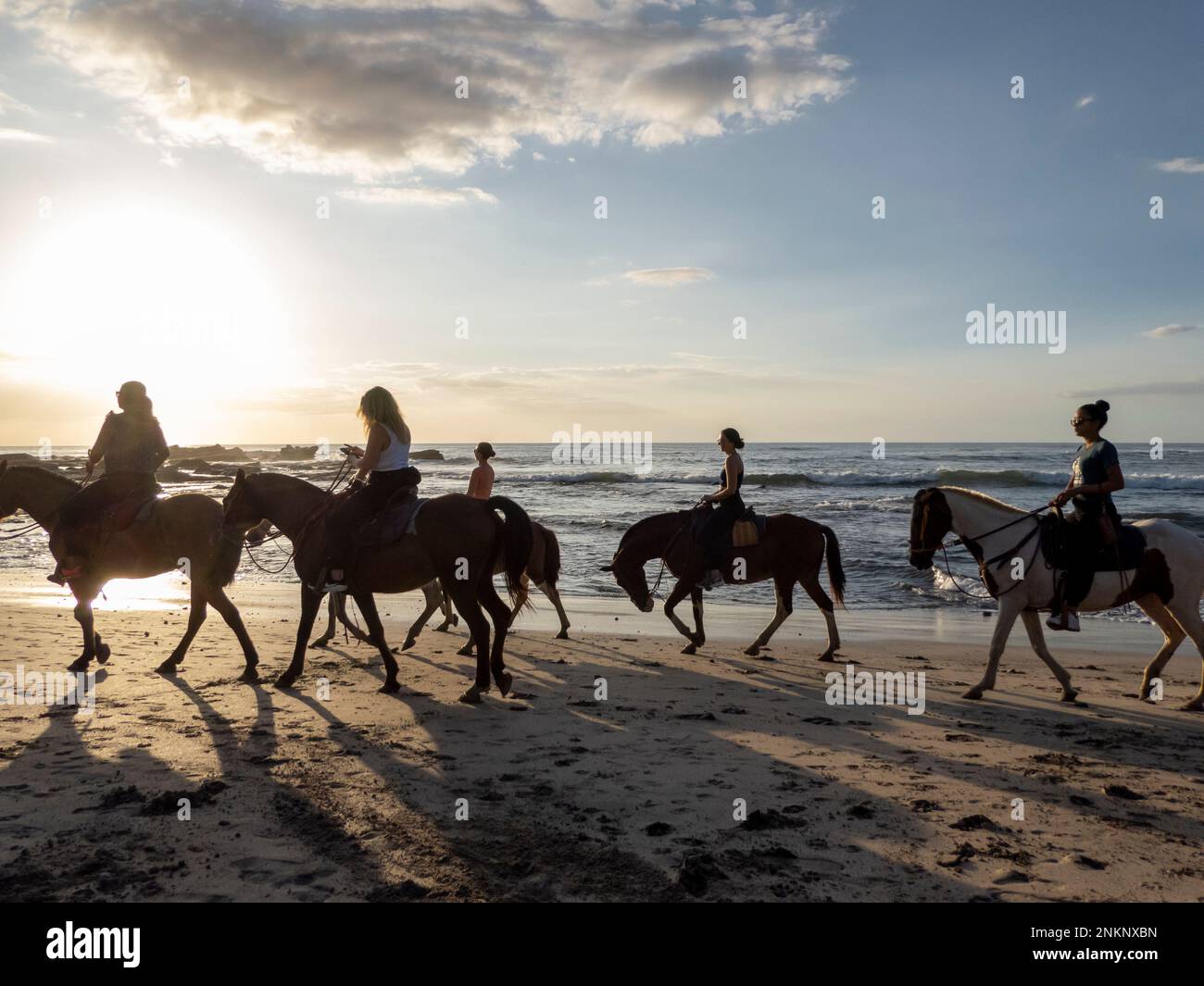 Un gruppo di cavalieri si diverta sulla spiaggia mentre il sole inizia a tramontare a Nosara in Costa Rica Foto Stock