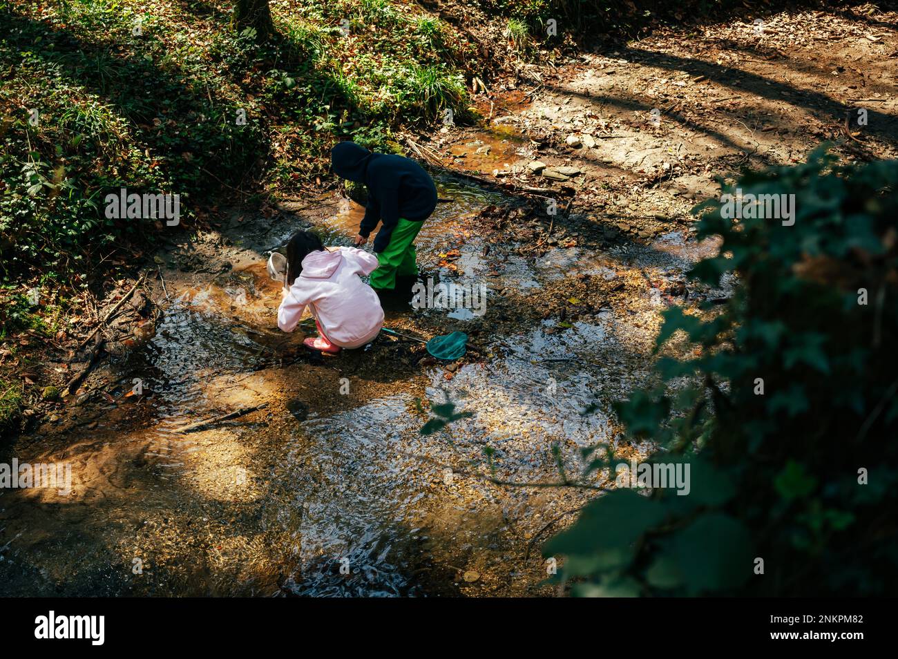Persona nella foresta. Due bambini asiatici che pescano con una rete per scoprire la natura. Asian ragazzo e ragazza che giocano in un ruscello in primavera. Foto Stock