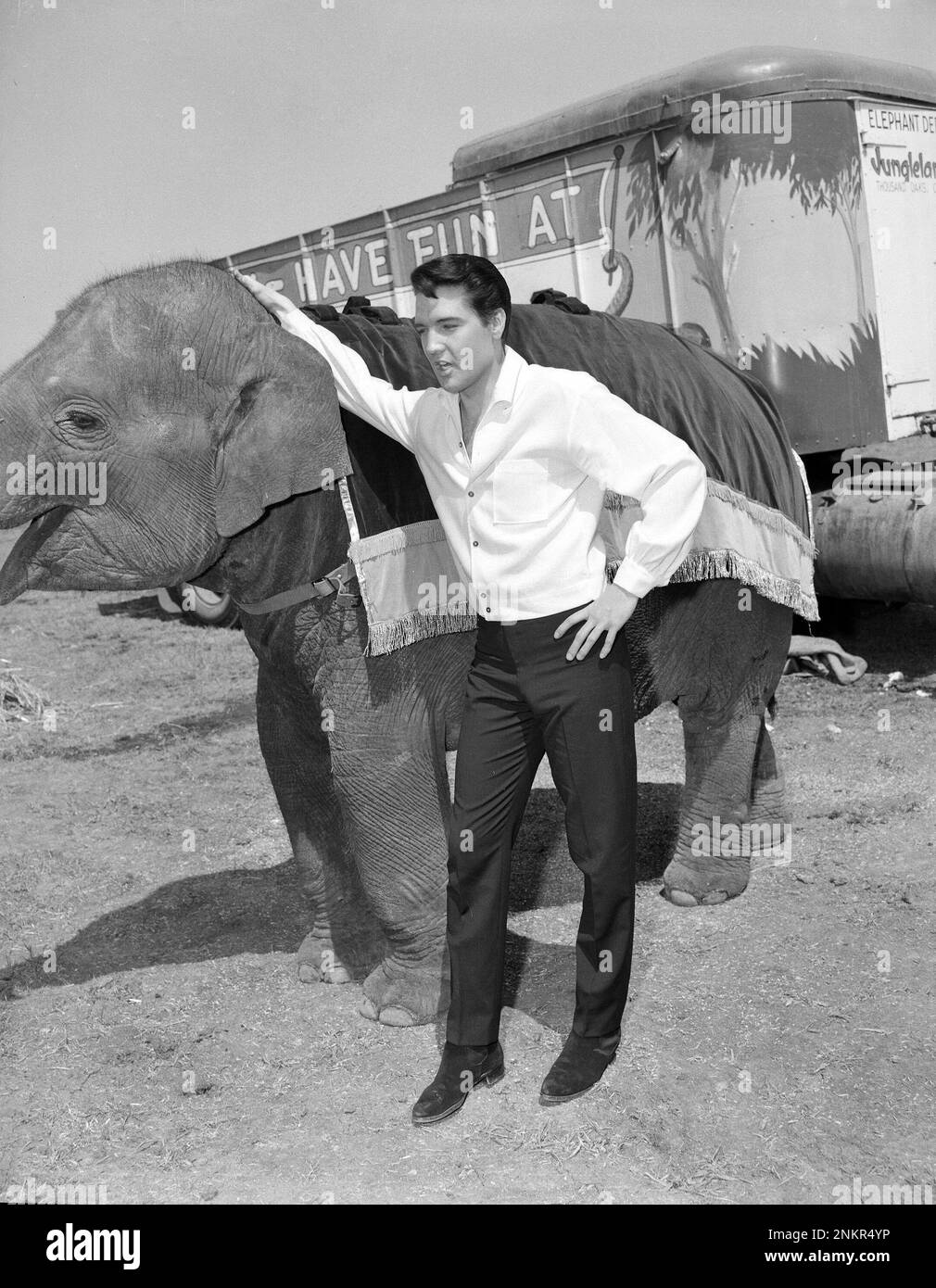 Elvis Presley con un elefante - TIR di Roustabout 1964 Foto Stock