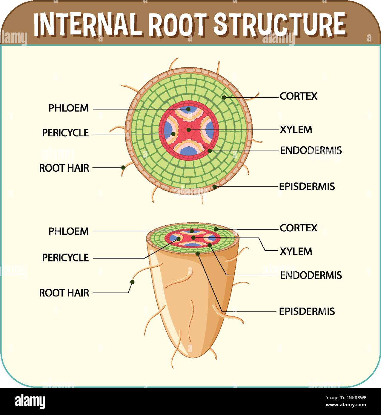 Struttura interna dell'illustrazione del diagramma principale Illustrazione Vettoriale