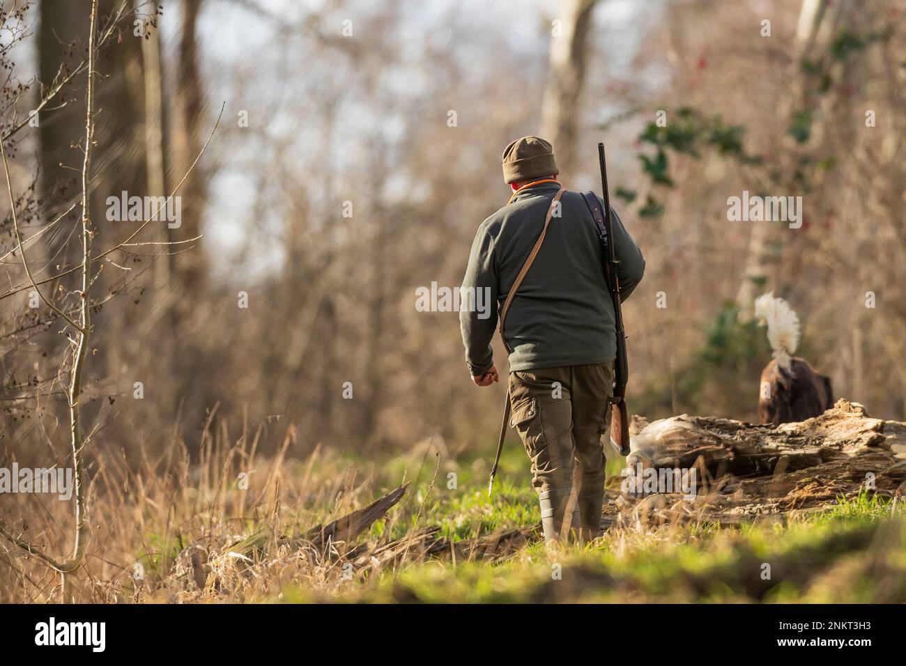 Un cacciatore cammina attraverso la foresta Foto Stock