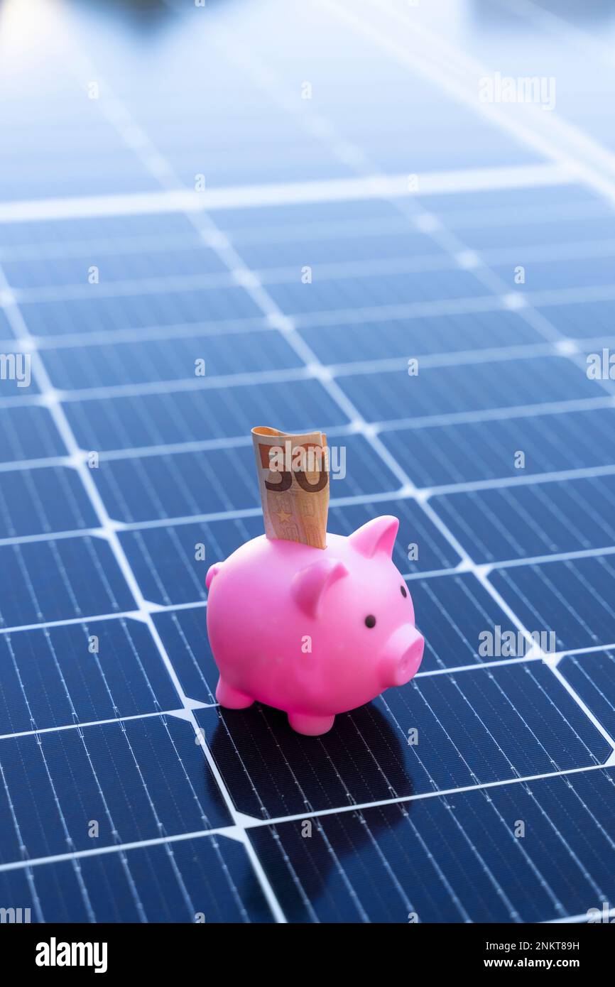 Concetto di risparmio energetico con pannelli solari e una banca di porcellini con cinquanta euro Foto Stock