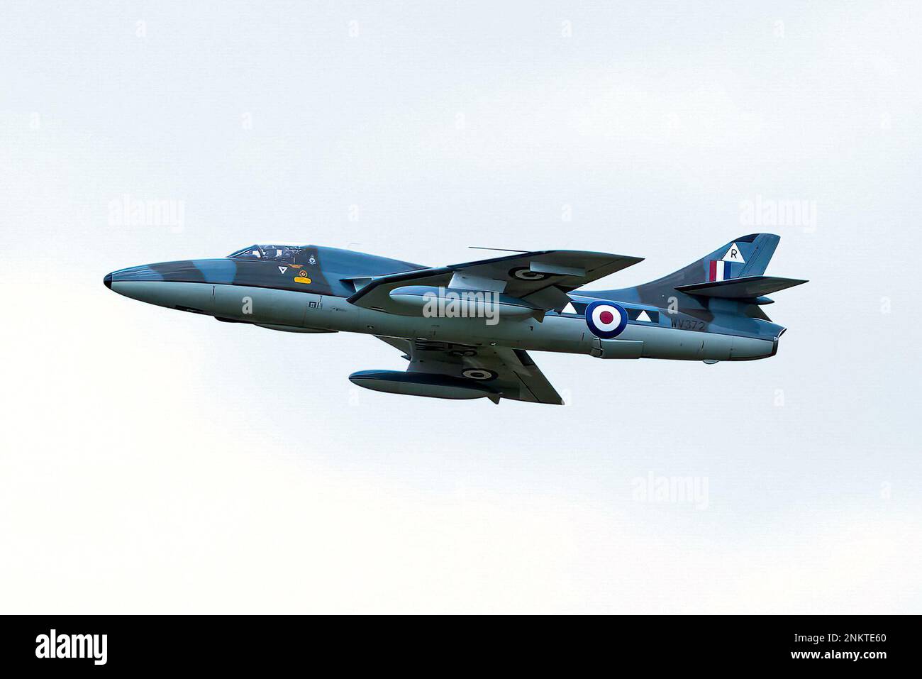 Questo è l'Hawker Hunter T7 WV372 che servì nel RAF dal 1955. L'esposizione è presso lo Shoreham Airshow, Shoreham Airport, East Sussex, UK. 30th agosto 2014 Foto Stock