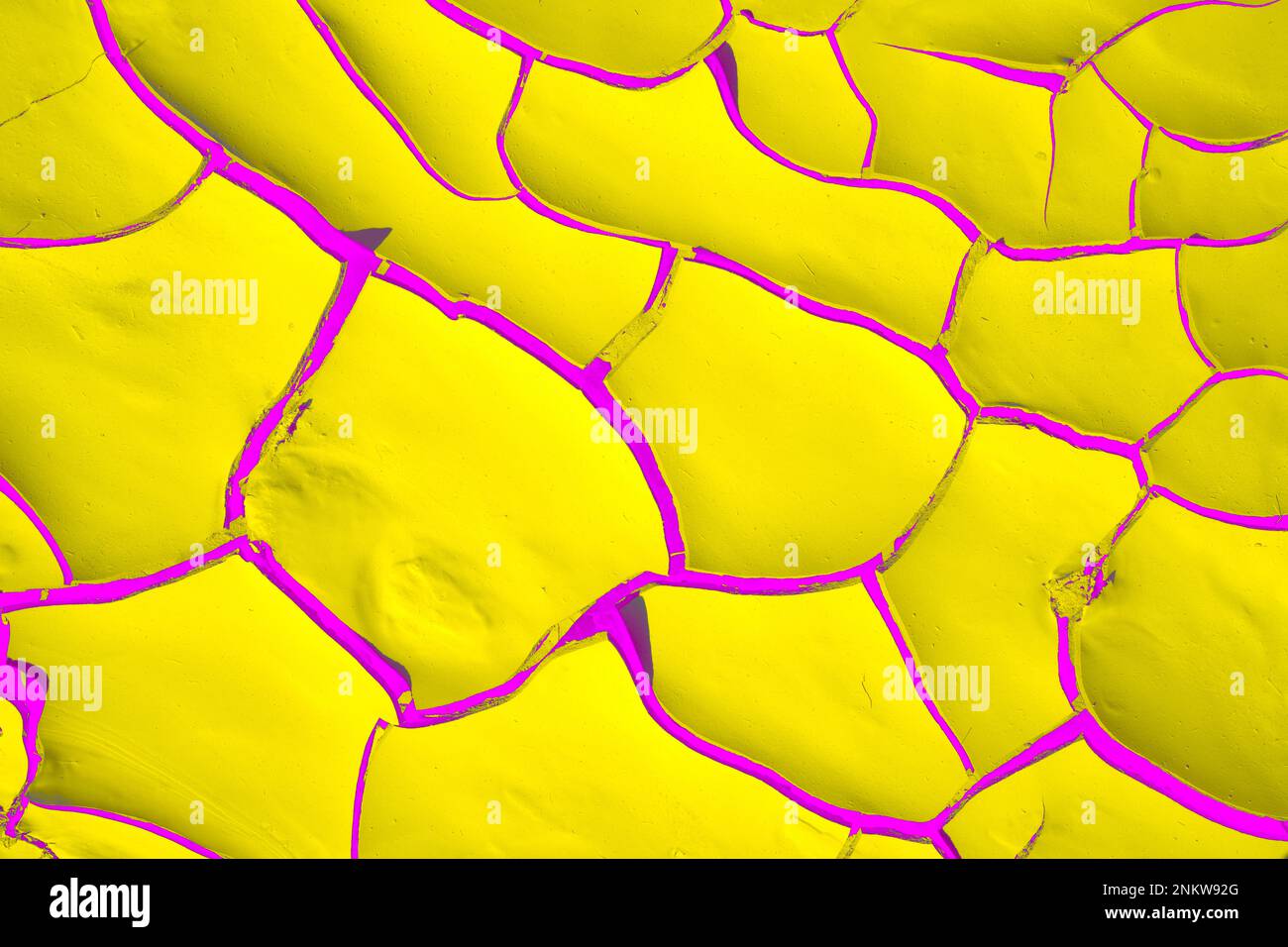 Modelli astratti colorati di fango secco. Giallo e blu. Letto del fiume asciutto. Fiume Swakop, Namibia, Africa Foto Stock