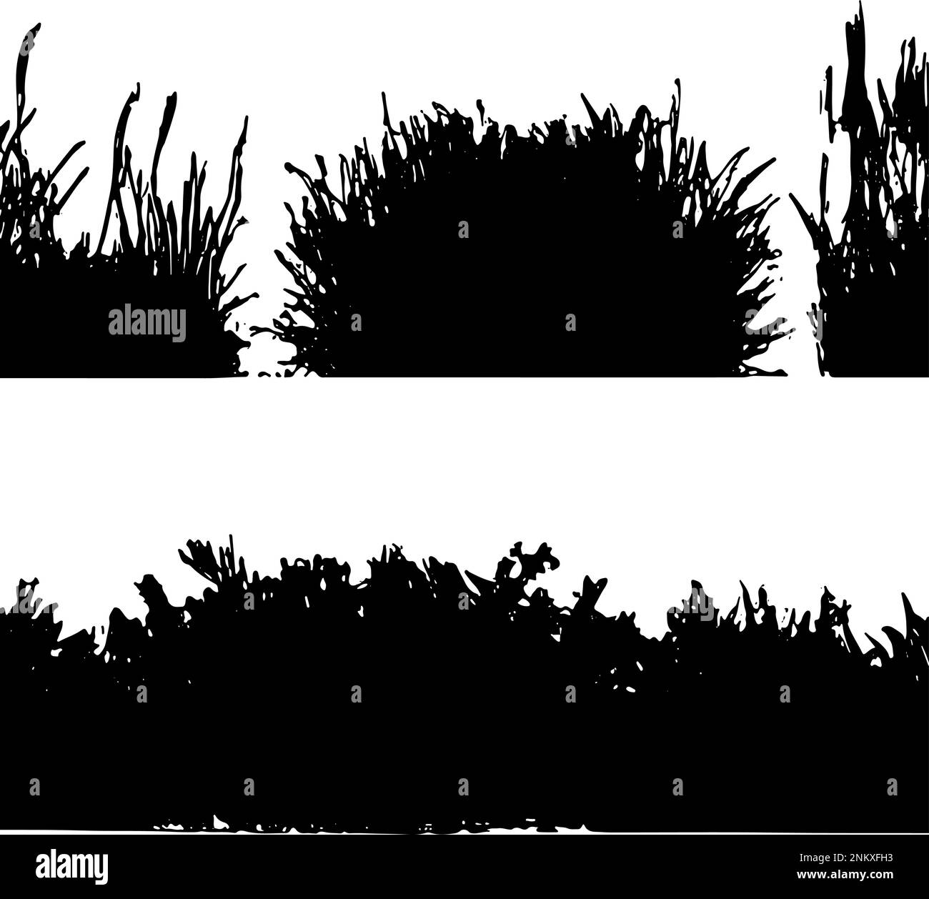 Silhouette vettoriale di diversi tipi di erba separata su sfondo bianco. Grafica vettoriale fatta a mano Illustrazione Vettoriale