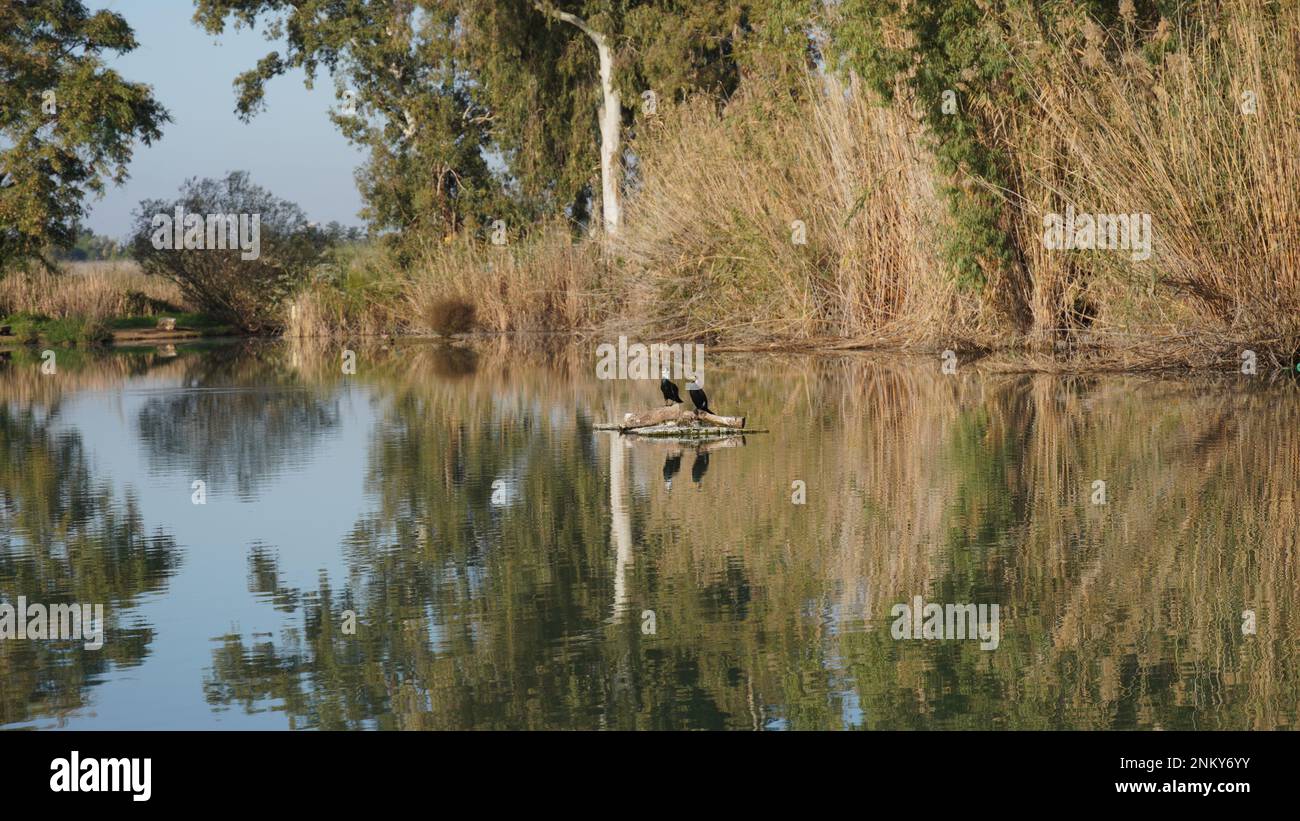 Lago di Antipatris Forte BINAR Bashi, Yarkon Tel-Afek Parco Nazionale in mattinata Foto Stock