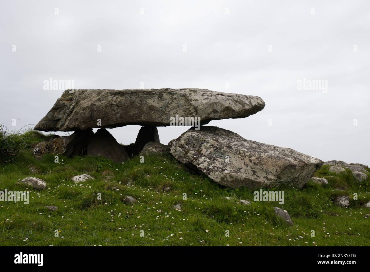 Tomba di Corte di Cleggan megalitico (an Cloigeann) nella Contea di Galway EIRE Irlanda Foto Stock