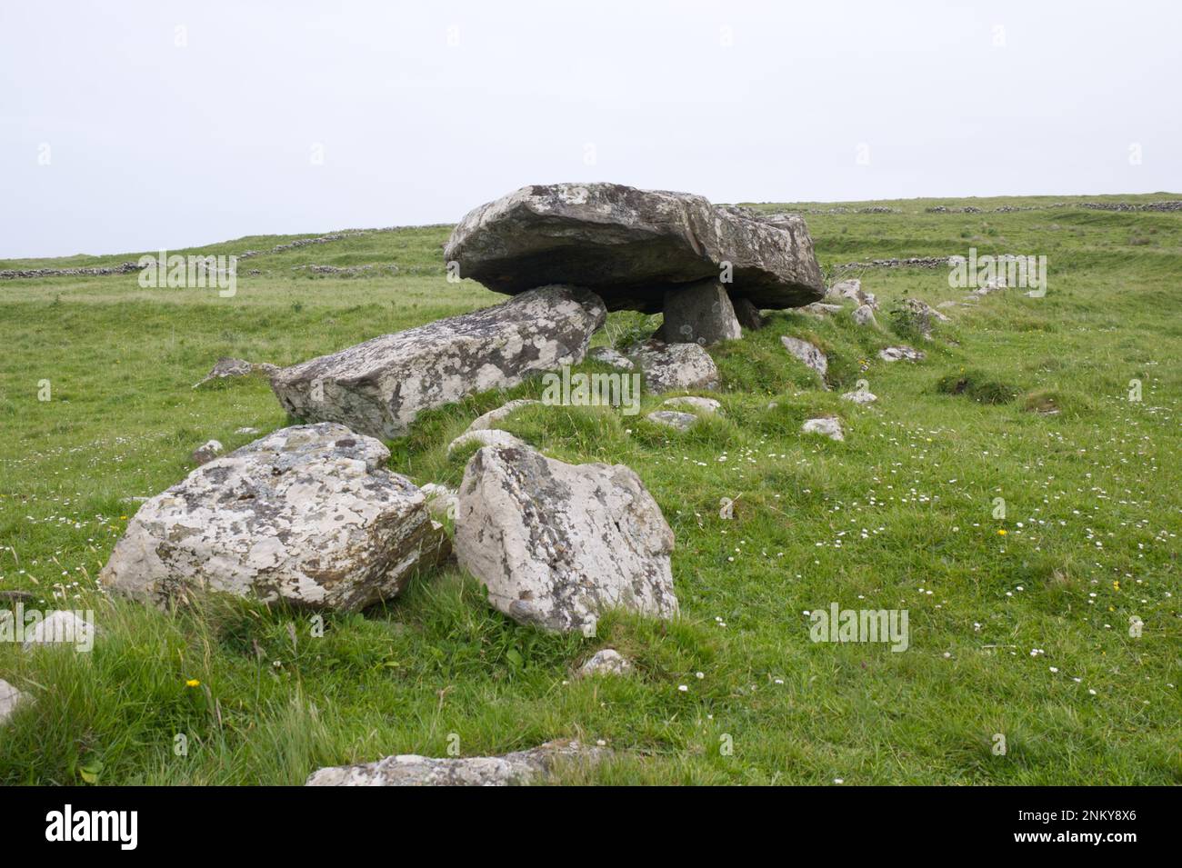 Tomba di Corte di Cleggan megalitico (an Cloigeann) nella Contea di Galway EIRE Irlanda Foto Stock