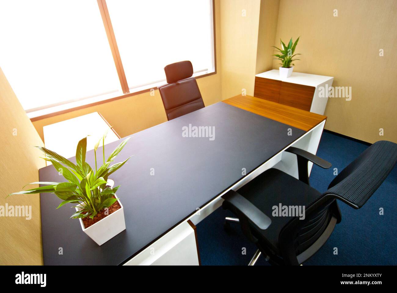 Un ufficio professionale con una scrivania moderna con una sedia per computer e due piante, che creano uno spazio di lavoro invitante e produttivo Foto Stock