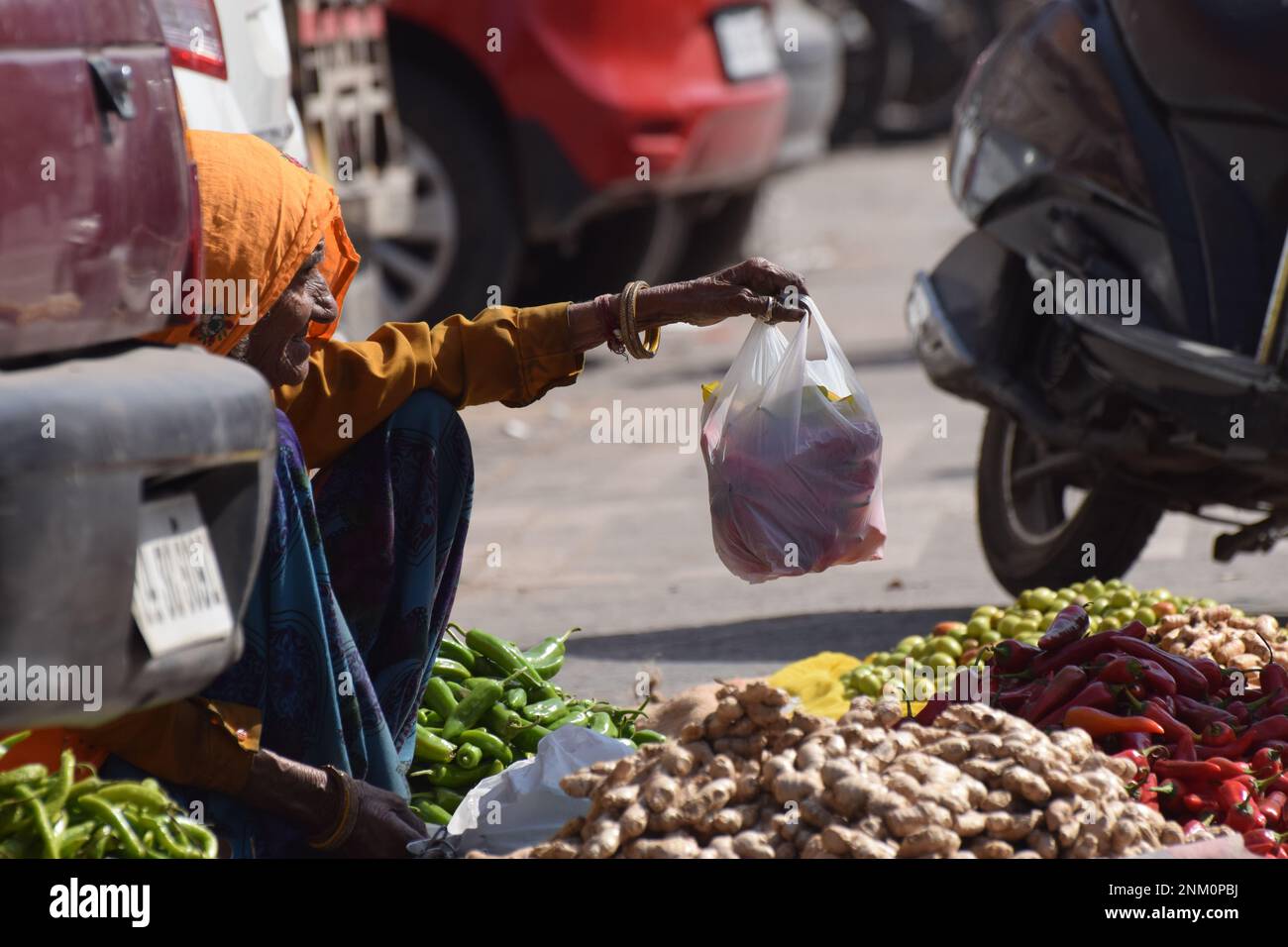 Una donna anziana in abiti tradizionali luminosi che vendono frutta e verdura dalla strada a Jaipur, India Foto Stock
