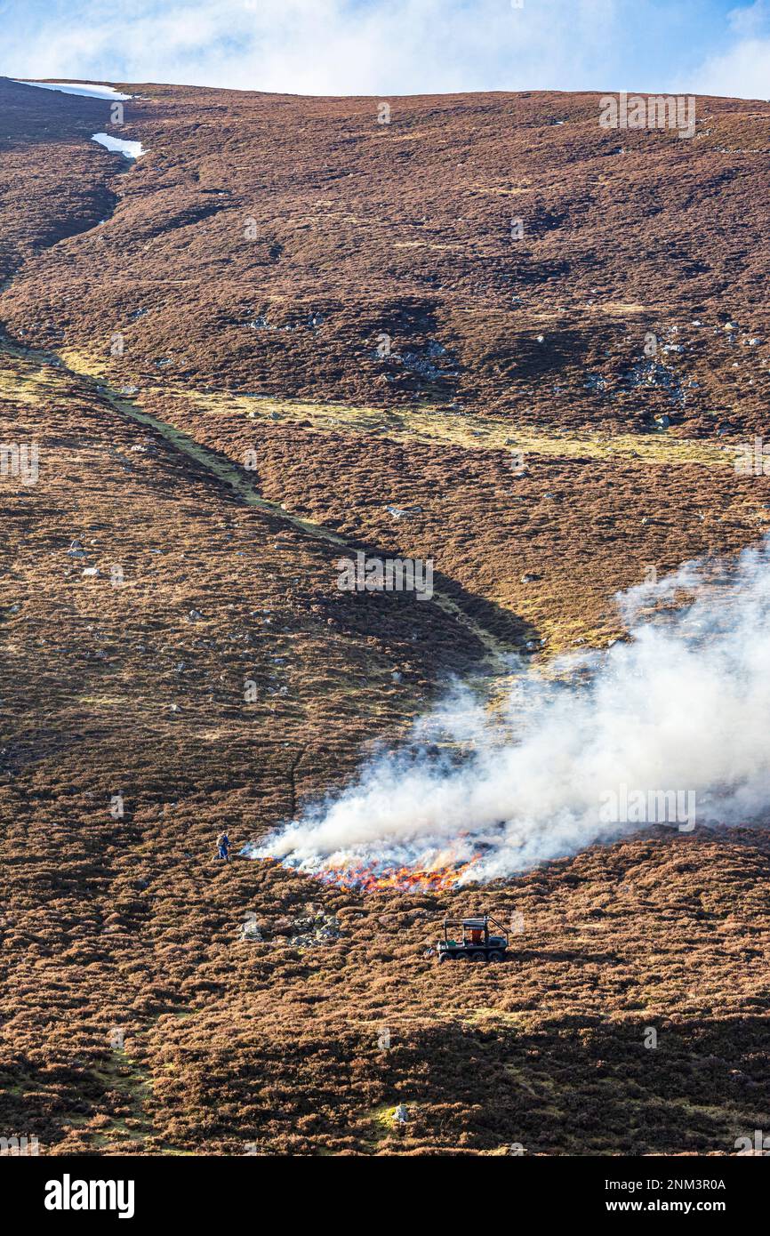 La combustione controllata di brughiera di erica (altalene o muirburn) sulle pendici di Sgor Mor a sud di Braemar, Aberdeenshire, Scozia UK Foto Stock
