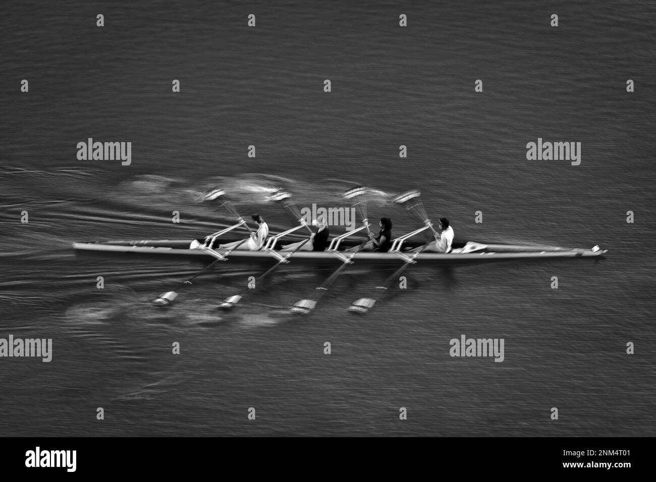 Squadra di scolpire femminile che pratica sul lago Ladybird, Austin, Texas. Foto Stock