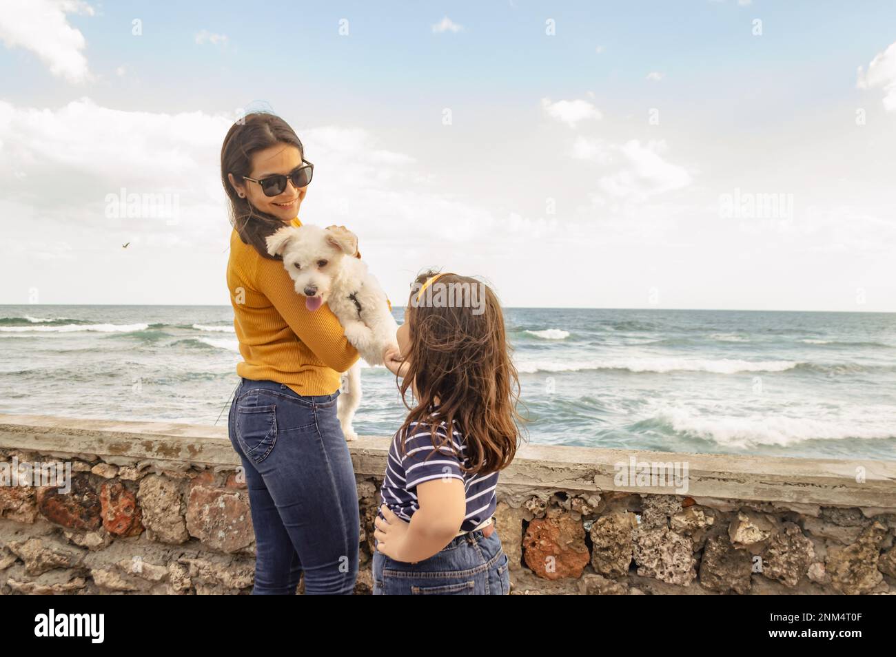 donna e il suo cucciolo, cane e proprietario nel parco, ragazza che gioca con il cane Foto Stock