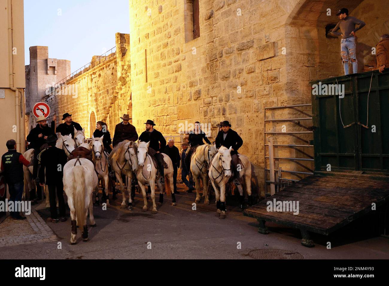 Aigues-Mortes, Frankreich, 24,12 .2022 Gardiens (Cowboy der Camarque) auf ihren Camarque Pferden (Wildpferd) beim Stiertreiben bei der Abrivado Manad Foto Stock