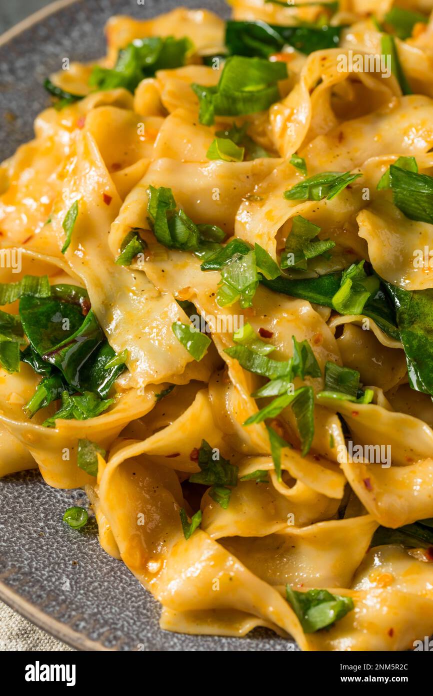 Tagliatelle di Biangbiang asiatiche fatte in casa con peperoncino e salsa di soia Foto Stock