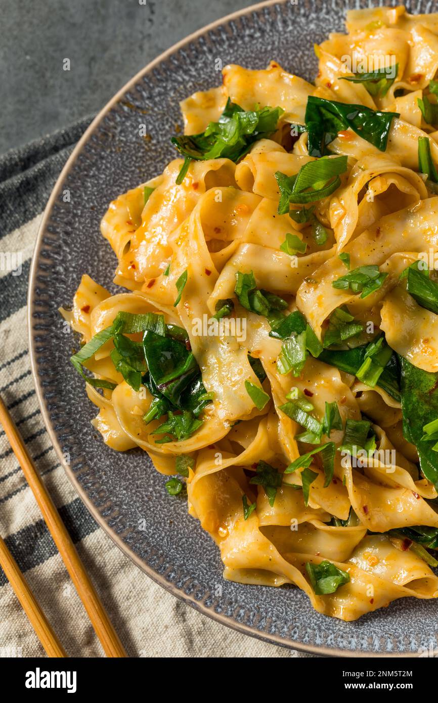 Tagliatelle di Biangbiang asiatiche fatte in casa con peperoncino e salsa di soia Foto Stock