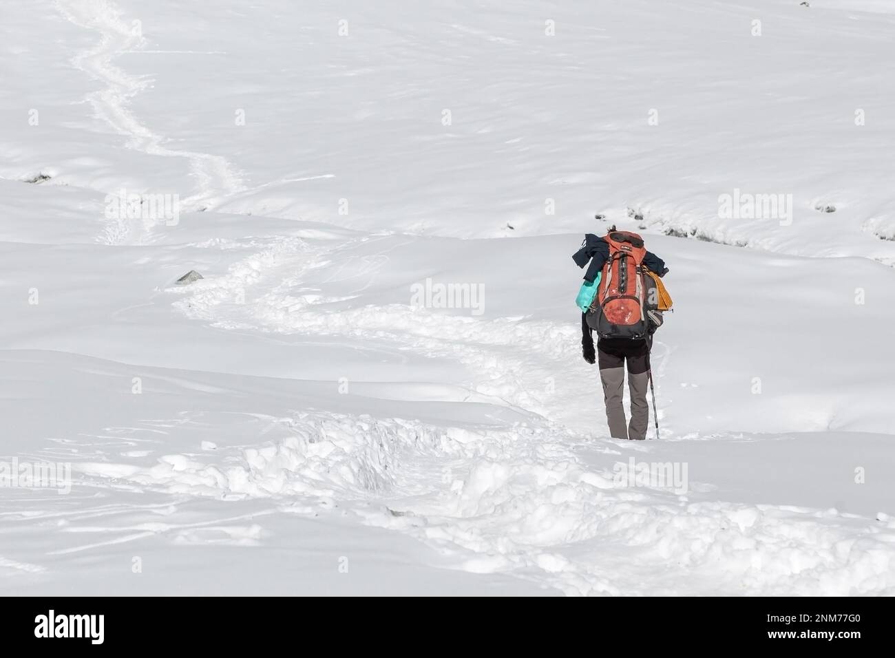 Concetto di trekking da solo estremo. Viaggiatore singolo che cammina nella neve profonda con grande zaino pesante e palo da trekking. Avventura alpina con alpinista Foto Stock