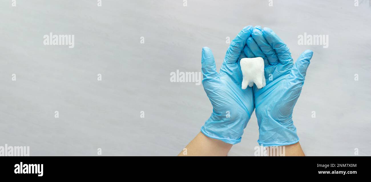 Mano dentista femminile in guanti medici blu tiene un dente modello bianco. Sfondo chiaro. Concetto di igiene orale in famiglia Foto Stock