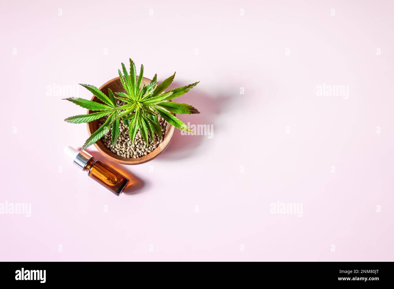 Semi di canapa in un piatto di legno ecologico e marijuana fresca germogliano vicino a una bottiglia cosmetica su uno sfondo rosa Foto Stock Semi di canapa in un piatto di legno ecologico e marijuana fresca germogliano vicino a una bottiglia cosmetica su uno sfondo rosa Foto Stock