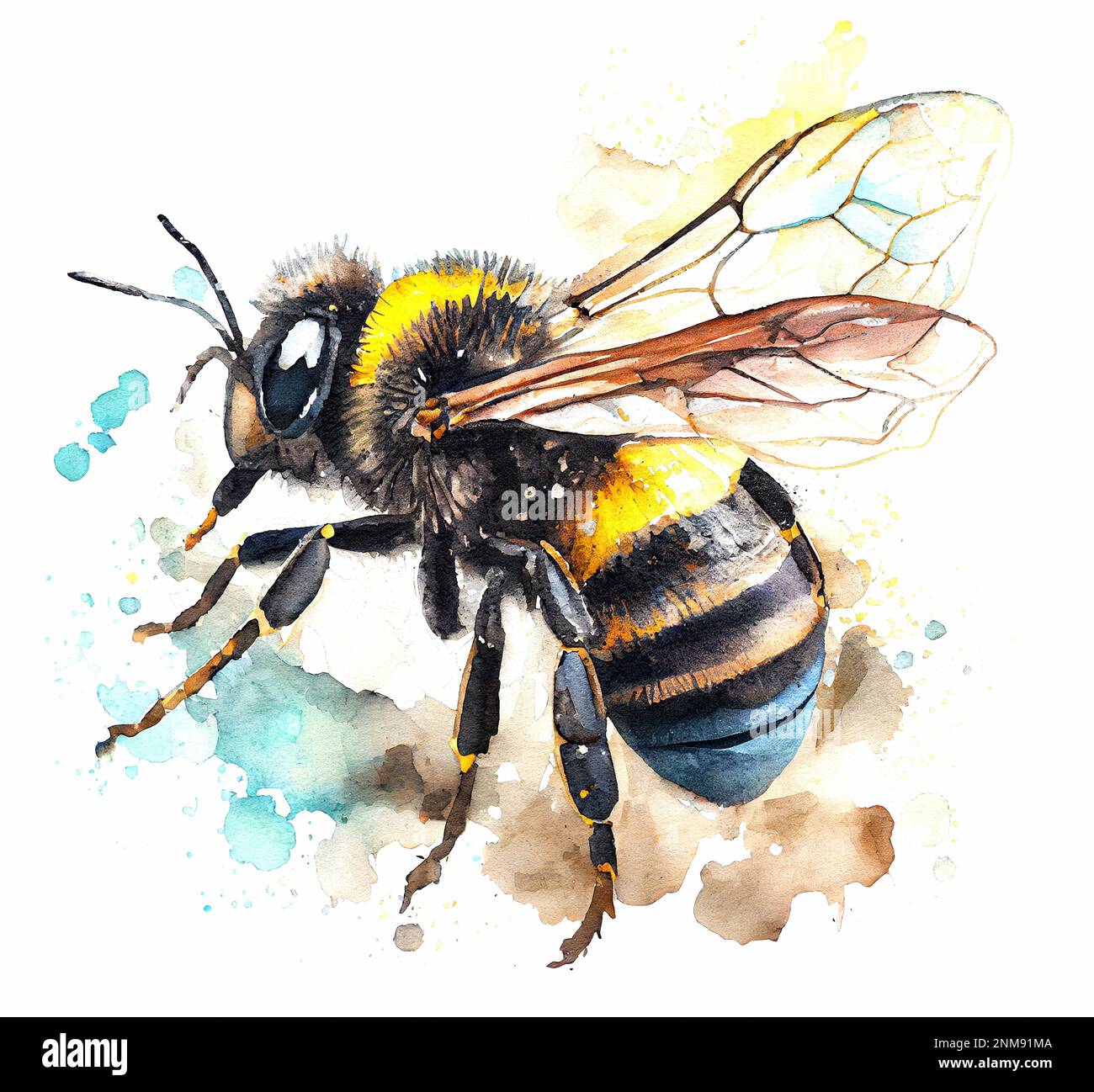 Ape mano disegnata colore acquerello illustrazione insetti animali Foto  stock - Alamy