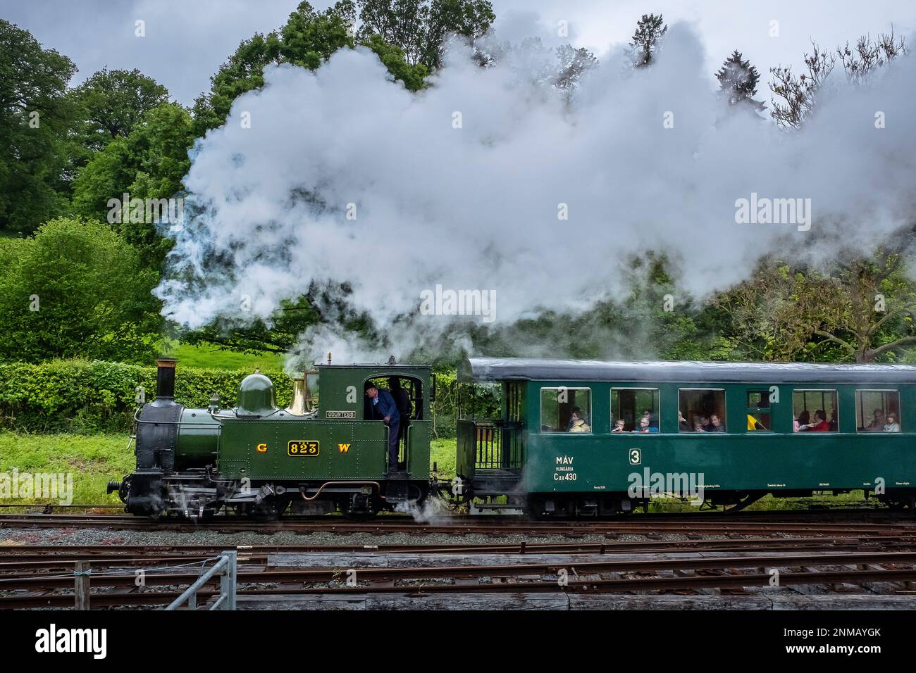 Llanfair e Welshpool Steam Railway, Galles Foto Stock