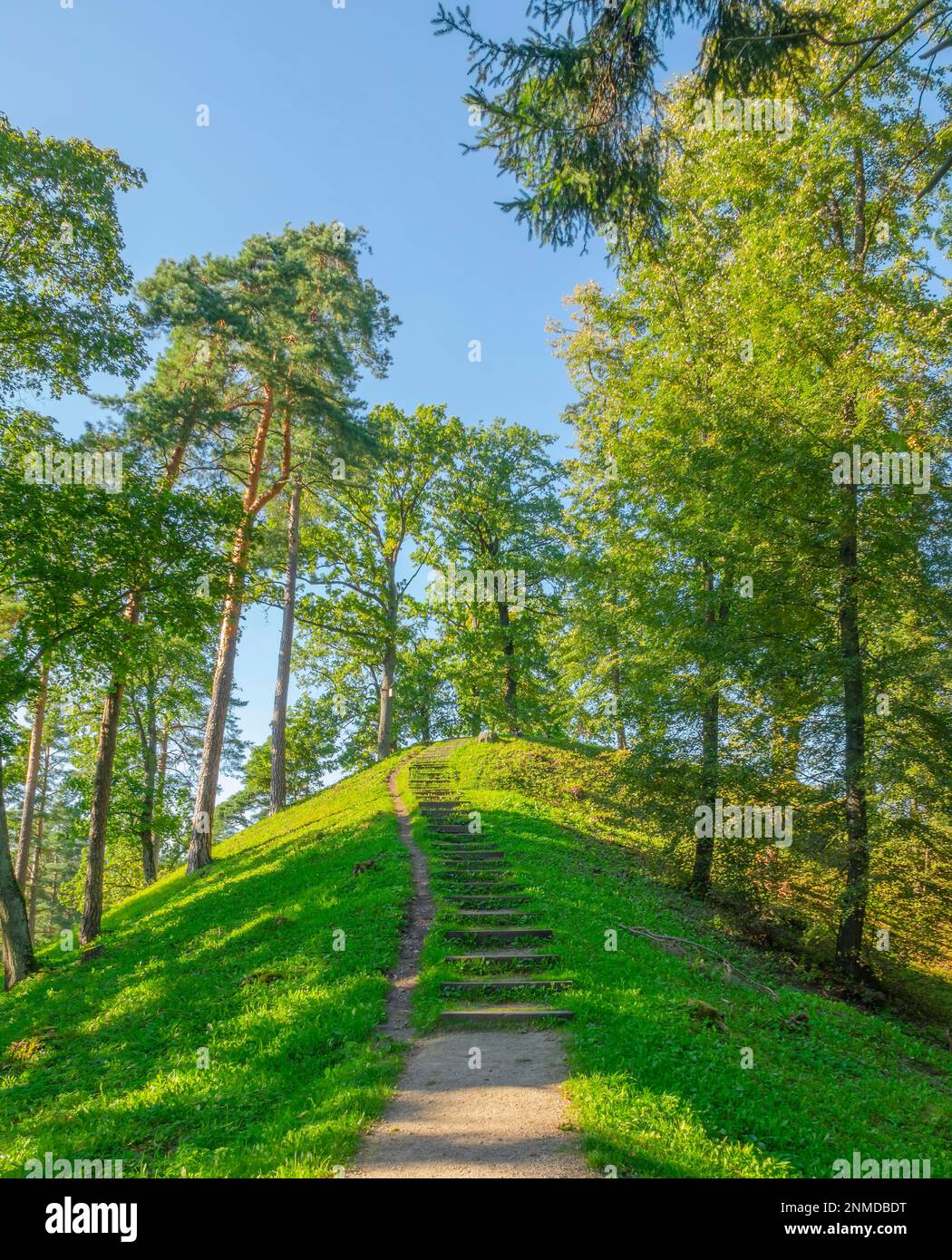 Sentiero e scale che conducono alla cima della verde collina Foto Stock