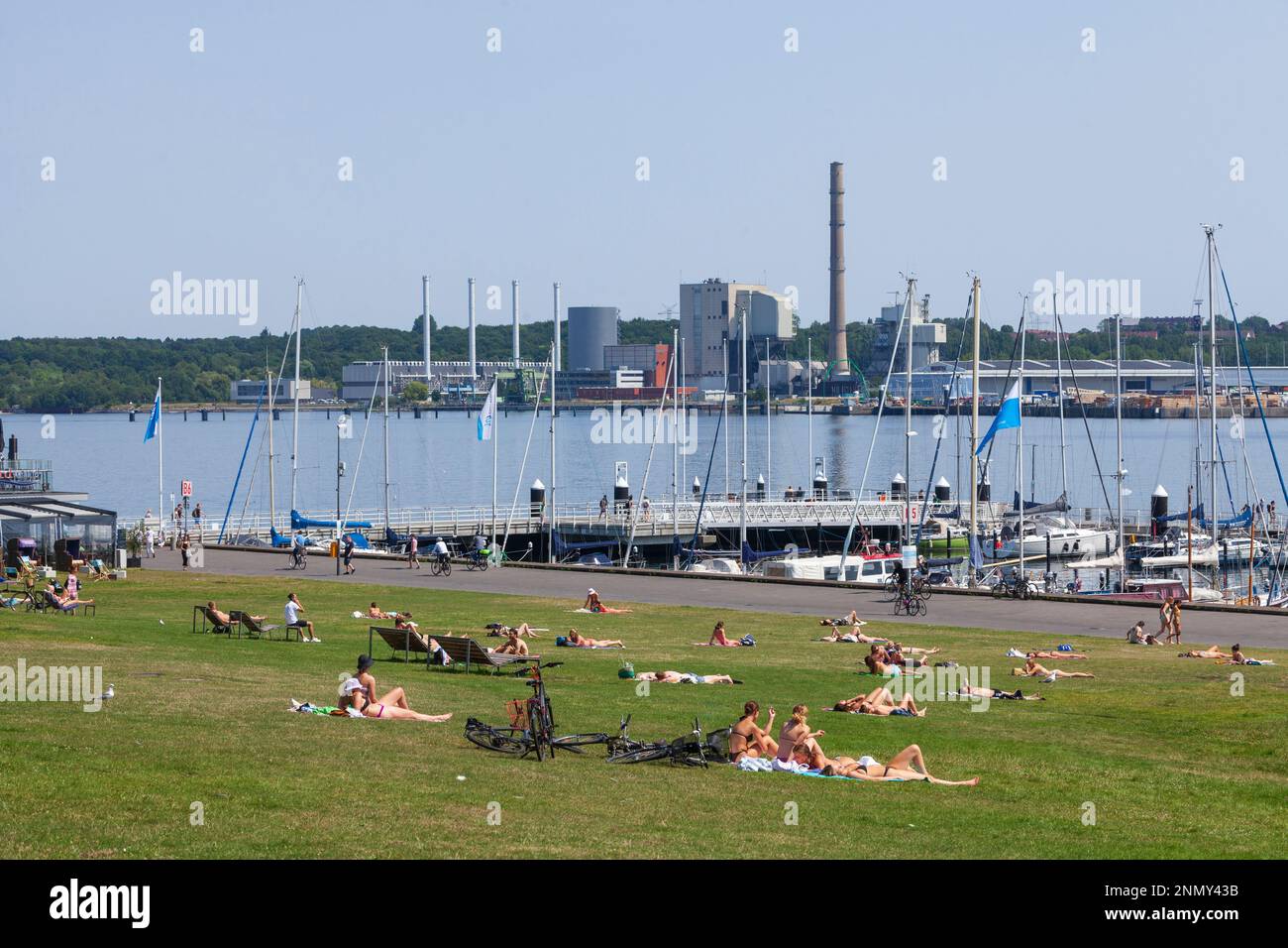 Prato per prendere il sole con lungomare, Kiel Fjord, Kiel, Schleswig-Holstein, Germania, Europa Foto Stock