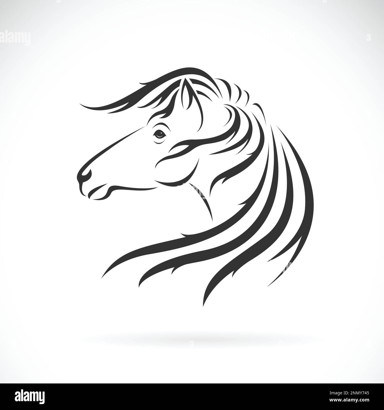 Vettore di disegno testa di cavallo su sfondo bianco. Illustrazione vettoriale a strati facilmente modificabile. Animali selvatici. Illustrazione Vettoriale