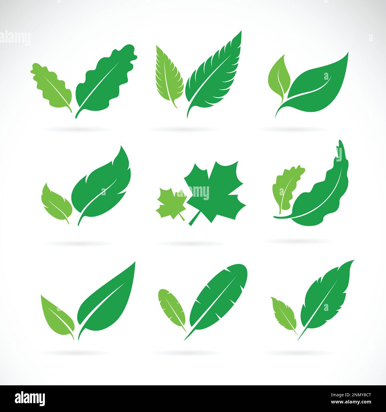 Icona vettore di foglie verdi su sfondo bianco. Illustrazione vettoriale a strati facilmente modificabile. Illustrazione Vettoriale