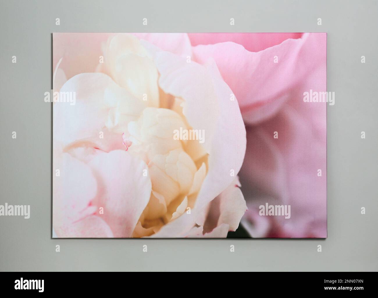 Bella pittura di fiore rosa appeso alla parete grigia Foto Stock