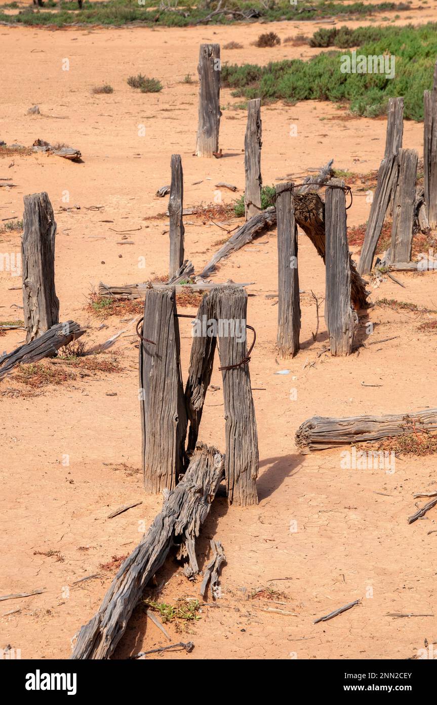 Da Menindee a pooncarie Australia, gli alberini di legno alterati di depositi abbandonati in un ambiente arido Foto Stock