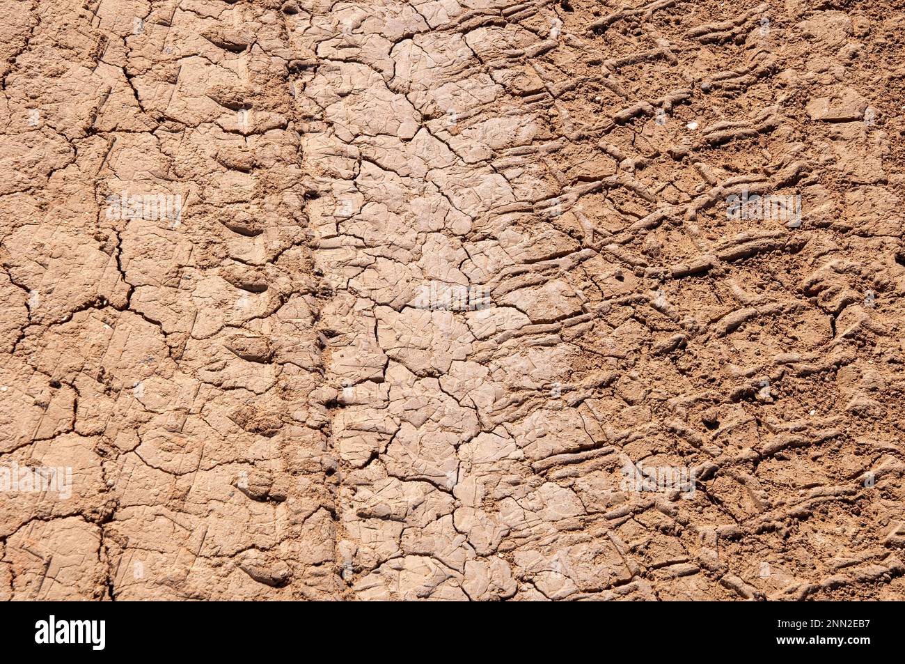 Pooncarie Australia, piste di pneumatici in terra creta cotta al sole Foto Stock