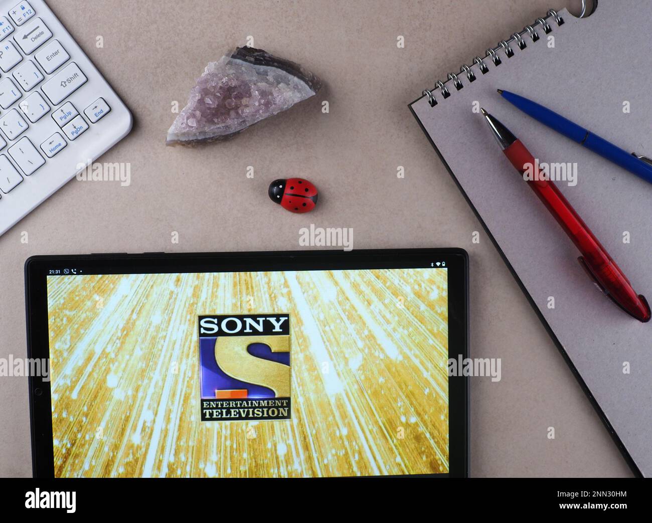 GarhIn questa illustrazione, il logo di Sony Entertainment Television viene visualizzato su un tablet. Foto Stock