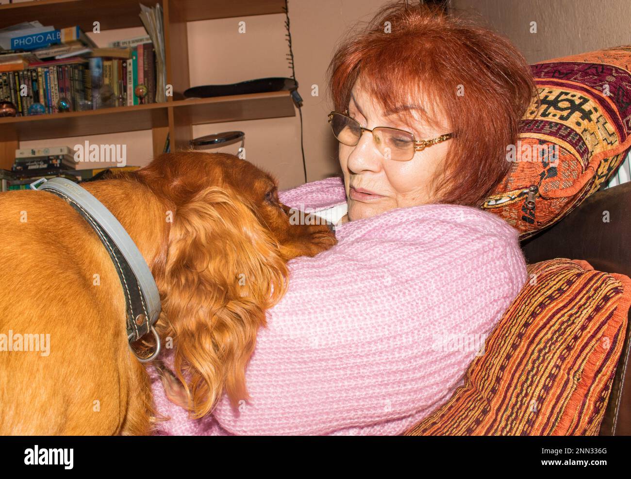 donna anziana di 73 anni e il suo cane cocker spaniel guardarsi a distanza ravvicinata con amore. Foto Stock