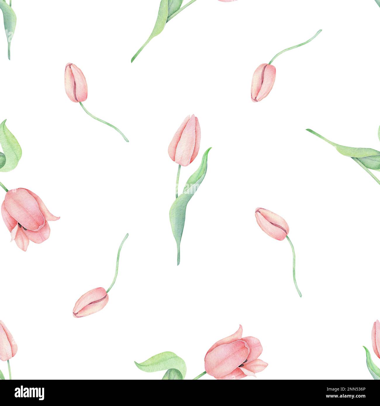 Tulipani acquerello modello senza cuciture. Giornata internazionale delle donne. Per design, cartoncino, stampa o sfondo Foto Stock