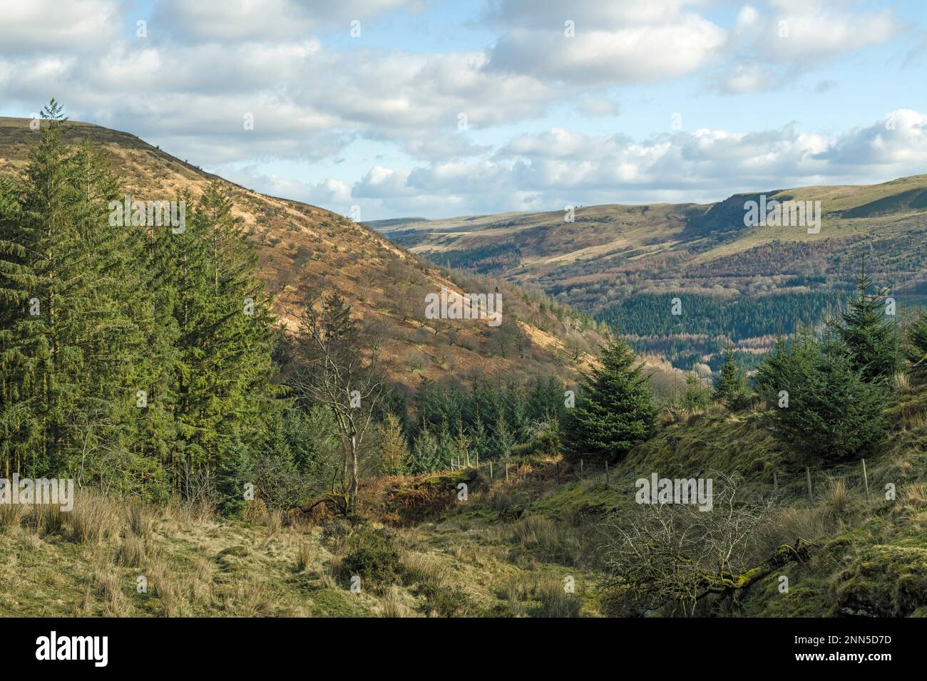 Una vista mozzafiato che si affaccia lungo la parte superiore o la testa della Valle di Talybont nel Brecon centrale Beacons visto dalla cima della strada Foto Stock