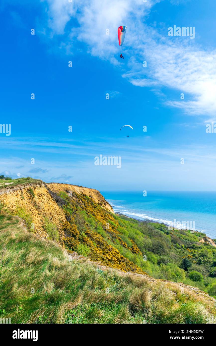 Charmouth, Dorset Area of Outstanding Natural Beauty, Inghilterra, Regno Unito, Europa. Foto Stock
