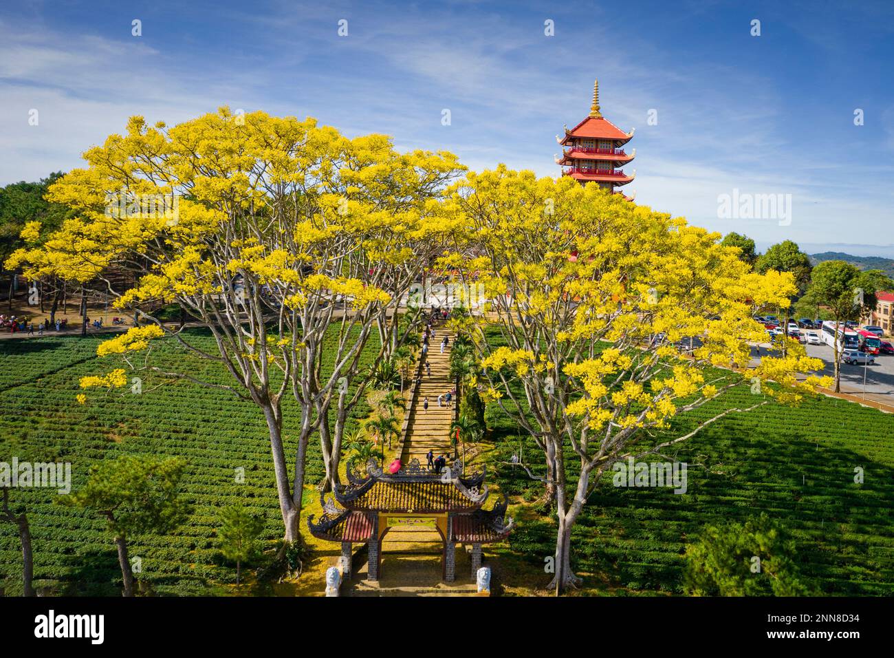 27 gennaio 2023, provincia di Lam Dong, Vietnam: La scena del Monastero di Bat Nha nella stagione delle capesante gialle Foto Stock