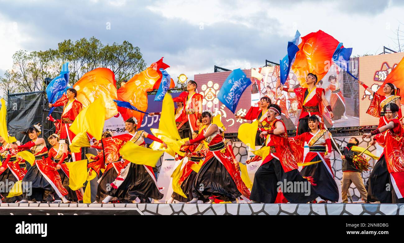 La squadra giapponese di ballerini Yosakoi ballare e cantare mentre sventola bandiere gialle e blu sul palco all'aperto al festival Kyusyu Gassai a Kumamoto. Foto Stock