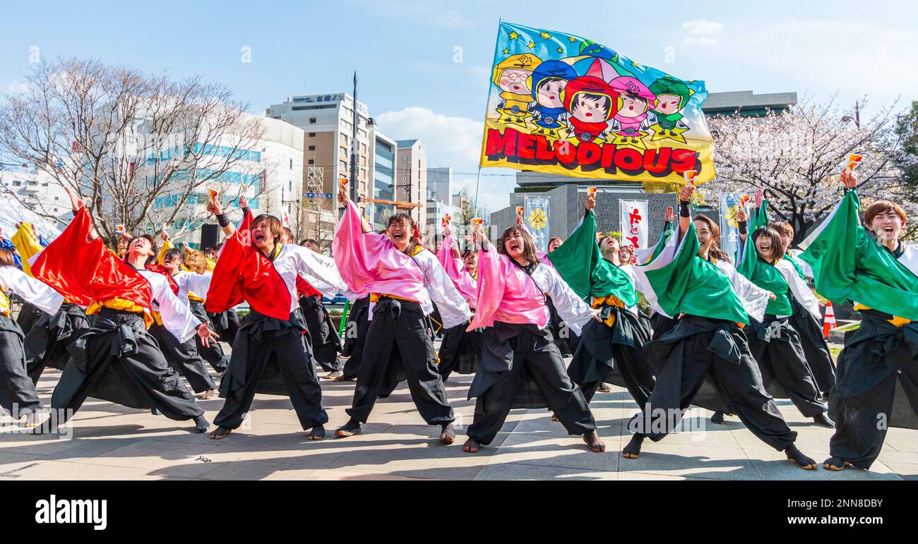 Squadra giapponese di ballerini Yosakoi con naruko, ballando in yukata a lungo maniche tuniche sulla piazza della città al festival annuale Kyusyu Gassai a Kumamoto. Foto Stock