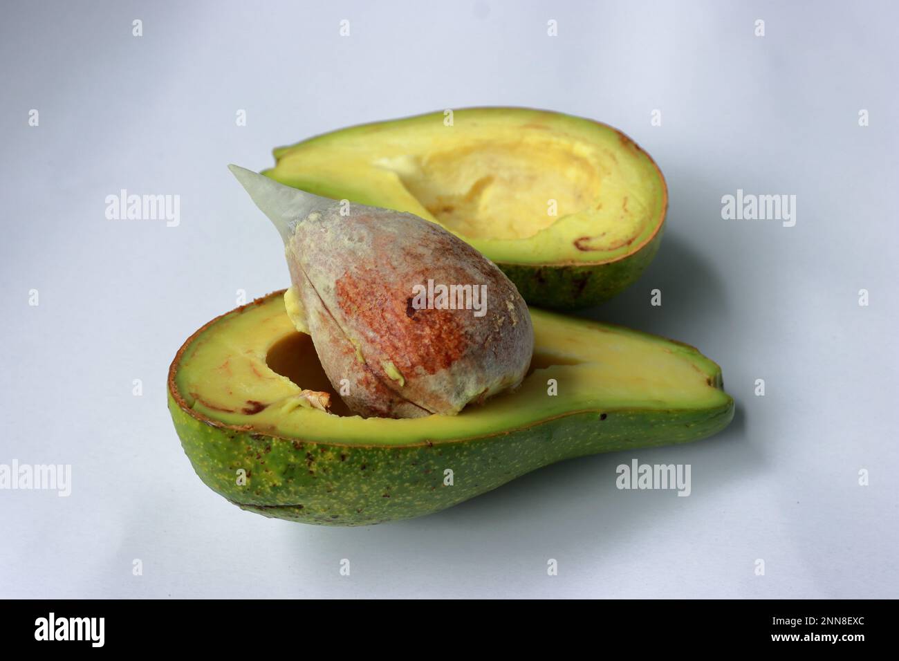 Un avocado maturo diviso in due metà su uno sfondo bianco Foto Stock
